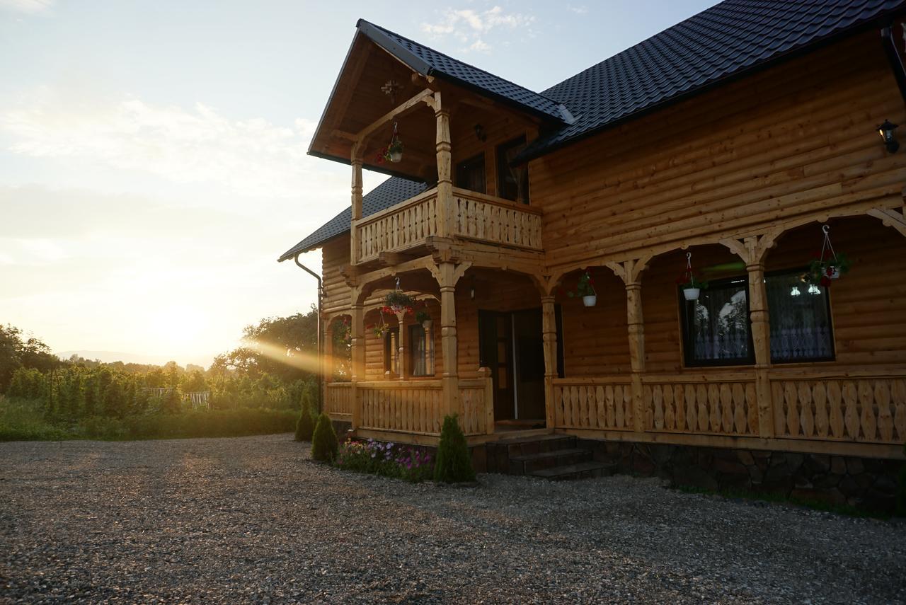 Casa Maramureseana Larisa Guest House Breb Exterior photo