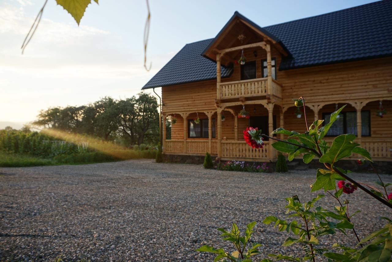 Casa Maramureseana Larisa Guest House Breb Exterior photo